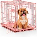 MidWest Homes for Pets 24-Inch Pink Fashion iCrate for Small Breeds, 12-20 lbs, Single Door Folding Dog Crate with Divider Panel, Leak-Proof Tray & Secure Latch, Portable, Durable & Easy to Assemble