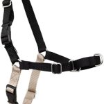 PetSafe Easy Walk Harness for Dogs – Pull-Free Walks – Patented Martingale Loop Design – Front Chest Leash Attachment – Adjustable Comfort Straps – Breathable Harness Design – Large, Black/Tan