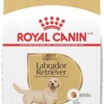 Royal Canin Labrador Retriever Adult Dry Dog Food, 30 lb bag