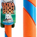 Chuckit! Interactive Dog Toy Ultra Fetch Stick – 12 Inch Outdoor Dog Toy for All Breed Sizes