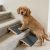 Dog Ramp for Stairs 2 Pack – Adjustable Solid Wood Foldable Indoor Pet Ramp for Senior & Injured Dogs, 2 Heights (4.2″/5.1″), Triangular Support & Non-Slip Carpet for Patio/Home, No Assembly (15.7″L)