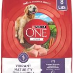Purina ONE High Protein Dry Senior Dog Food Plus Vibrant Maturity Adult 7 Plus Formula – 8 lb. Bag