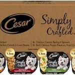Cesar Simply Crafted Wet Dog Food Toppers for Dry Food, Chicken and Beef Meal Topper Variety Pack, 1.3 oz. Tubs, Variety Pack, 40 Count
