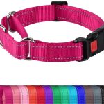 Joytale Martingale Collar for Dogs, Reflective Heavy Duty for Safety, Quick Release Buckle, Adjustable Nylon Collars for Medium Dogs Walking Training, Hotpink,M