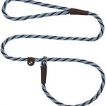 Mendota Pet Slip Leash – Dog Lead and Collar Combo – Made in The USA – Arctic Blue, 3/8 in x 6 ft – for Small/Medium Breeds