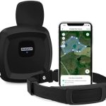 PetSafe Guardian GPS Dog Fence – Advanced AccuGuard Technology – Wireless Virtual Fence – No Subscription Required – Waterproof Collar with Long Lasting Battery – Easy to Set Up