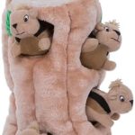 Outward Hound Hide-A-Squirrel Dog Toy – Interactive 2‑in‑1 Plush Puzzle with 6 Squeaky Removable Squirrels, X-Large