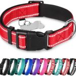 TECEUM Reflective Dog Collar – Red – S – Extra Soft Padding – Basic Nylon Pet Collar – Quick Release Buckle – Fits Small, Medium and Large Dogs, Puppies, Cats – ESA & Service Dog Options