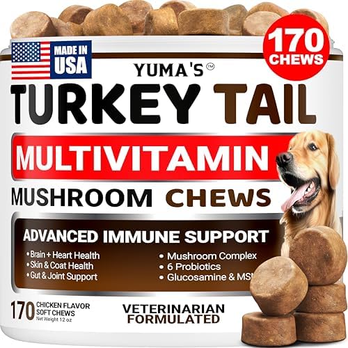 Turkey Tail Mushroom for Dogs – 170 Count – Mushroom Chews for Dogs Lipoma Lumps and Bumps – Immune Health, Digestive, Skin, Energy, Joint Vitamin Support Guard Buddy – Multivitamin Supplement