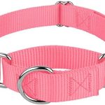 Country Brook Petz – Martingale Dog Collar – Heavy-Duty Training Collar with No Buckle – Service Dog Collar for All Pups – 20 Vibrant Colors (Pink, 1 Inch, Medium)