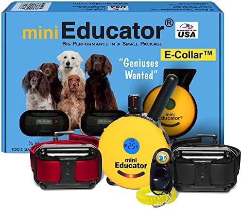 Educator ET-302 Mini E Collar for Dog Training with Remote – 1/2 Mile Range, Waterproof, 100 Blunt Stimulation Levels, Tone or Vibration Mode, Night Light for Small, Medium & Large Dogs (2 Dogs)