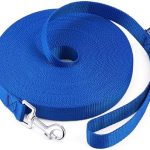 AMAGOOD Long Dog Leash for Training 15FT 20FT 30FT 50FT 100FT Long Dog Lead for Medium and Small Dogs Training,Tie Out,Play,Camping(15feet, Blue)