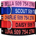 GoTags Personalized Dog Collar, Custom Embroidered with Pet Name and Phone Number in Blue, Black, Pink, Red and Orange, for Boy and Girl Dogs or Cats, Adjustable Sizes, Small, Medium, and Large