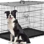 FDW Dog Crate for Large Dogs 42 Inch Folding Metal Wire Pet Cage Double Door W/Divider Panel Indoor Outdoor Kennel Leak-Proof Plastic Tray,Black