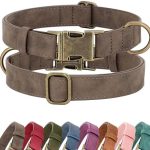 Didog Soft PU Leather Dog Collar, Stylish Quick Released Dog Collars for Small Dogs, Easy Clean Adjustable Pet Collar for Daily Walking, Brown, S Fit 10-15″ Neck
