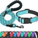 Ladoogo Reflective Dog Collar Padded with Soft Neoprene Breathable Adjustable Nylon Dog Collars for Small Medium Large Dogs (Medium (Pack of 1), Blue Collar+Leash)