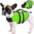 Queenmore XS Dog Life Jacket,Reflective Small Dog Life Vest for Swimming Boating,Adjustable Puppy LifeJackets for Extra Small Dogs with High Buoyancy,Safety Dogs Swimming Vest with Handle(Green,XS)