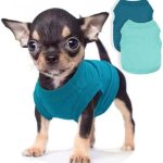 2 Pieces Dog Clothes for Small Dogs Girl Boy Chihuahua Clothes Summer Puppy Soft Dog Shirt Solid Color Pet Clothing Cute Cat Cloth, XXS,Green,Blue
