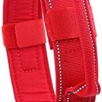 Tactical Dog Collar with Heavy Duty Metal Buckle and Control Handle for Medium Large Dogs Training(Red, Large)