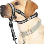 BARKLESS Reflective Head Collar, No Pull Collar for Large Dogs, Anti-Pull Muzzle Leash for Large Sized Breed, Adjustable Soft Dog Halter, Nose Leash for Easy Control on Walks