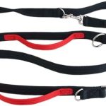 Halti Control Leash – Multifunctional Double-Ended Dog Leash with 2 Handles. Ideal for Anti-Pulling Dog Training. Lightweight & Durable. Suitable for Dogs & Puppies (Size Large, Black, 2m)