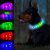 Light Up Dog Collar Multicolor LED USB C Rechargeable, Glow in The Dark Collar for Night Walking, Cuttable for Large Medium Small Dogs Pet (Multicolor Dog Collar)