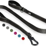 TwoEar 6FT 1IN Strong Black Dog Leash with 2 Padded Handles, Traffic Handle Extra Control, Comfortable Soft Dual Handle, Auto Lock Hook, Reflective Walking Lead for Small Medium and Large Dogs