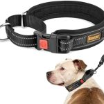 Mayerzon Martingale Collar for Medium Large Dogs, No Pull Dog Collar with Buckle, Soft Padded Reflective Martingale Dog Collar for Training Walking Outdoor(Black, L)