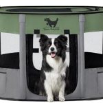 Rest-Eazzzy Dog Playpen, Foldable Kitten Playpen for Medium Dogs, Portable Pet Puppy Playpen with Removable Shade Cover, Indoor Outdoor Travel Camping Use for Small Pets with Carrying Case (M, Green)