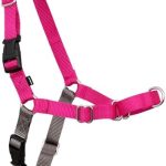 PetSafe Easy Walk Harness for Dogs – Pull-Free Walks – Patented Martingale Loop Design – Front Chest Leash Attachment – Adjustable Comfort Straps – Breathable Harness Design – Medium, Raspberry/Gray