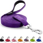 Dog Training Leash – Long Line for Recall & Obedience, Nylon Training Lead with Padded Handle, 15 ft / 20 ft / 30 ft / 50 ft / 100 ft – Long Leash for Dogs Outside, Small/Medium/Large