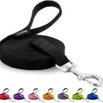 Dog Training Leash – Long Line for Recall & Obedience, Nylon Training Lead with Padded Handle, 15 ft / 20 ft / 30 ft / 50 ft / 100 ft – Long Leash for Dogs Outside, Small/Medium/Large
