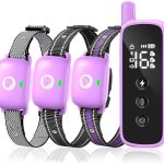 Dog Traning Collar – 2600FT Shock Collar for Dogs with Remote Control, IP68 Waterproof 3 Modes (Beep/Vibration/Shock) Ecollar, Security Lock for Large Medium Small Dogs, Purple