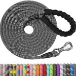 NTR 15FT Training Leash for Dogs, Nylon Rope Dog with Swivel Lockable Hook and Comfortable Padded Handle, Cat Puppy Lead Small Medium Large Dogs Training, Playing, Camping, or Backyard